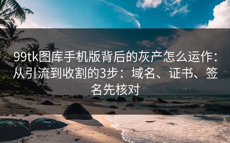 99tk图库手机版背后的灰产怎么运作：从引流到收割的3步：域名、证书、签名先核对