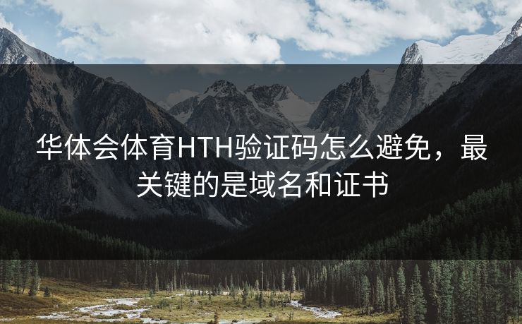 华体会体育HTH验证码怎么避免,最关键的是域名和证书 华体会体育HTH验证码怎么避免,最关键的是域名和证书